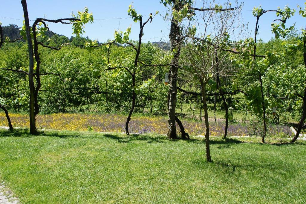 Quinta Travessa Villa Vieira do Minho Luaran gambar