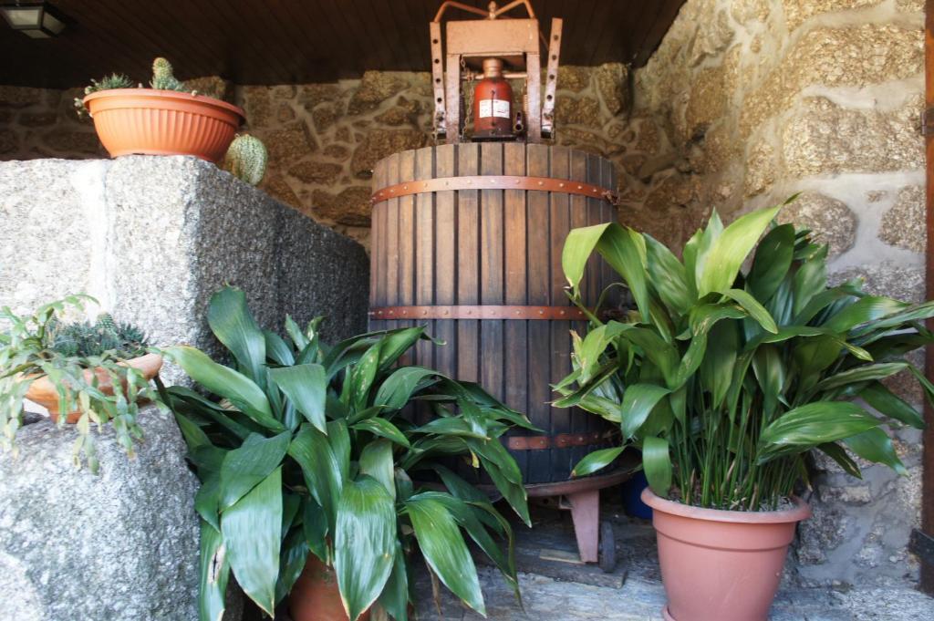 Quinta Travessa Villa Vieira do Minho Luaran gambar